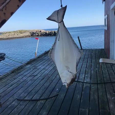 Fjordview Ryten 2 Retreat